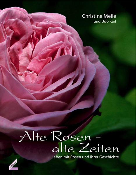 Umschlagbild der ersten Auflage des Meile-Buches "Alte Rosen – alte Zeiten"